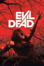 Evil Dead (2013) ผีอมตะ – อย่าแม้แต่จะ “อ่านออกเสียง”… ไม่งั้นคุณอาจปลุก “มัน”