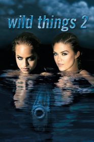 Wild Things 2 (2004) เกมซ่อนกล 2