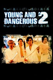 Young and Dangerous 2 (1996) กู๋หว่าไจ๋ 2 มังกรฟัดโลก