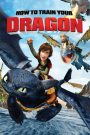 How to Train Your Dragon (2010) อภินิหารไวกิ้งพิชิตมังกร