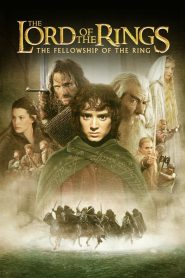 The Lord of the Rings 1 : The Fellowship of the Ring (2001) เดอะ ลอร์ด ออฟ เดอะ ริงส์ อภินิหารแหวนครองพิภพ ภาค 1