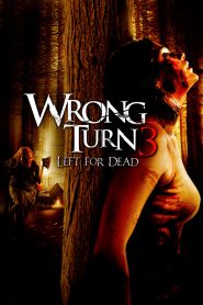 Wrong Turn 3: Left for Dead (2009) หวีดเขมือบคน 3