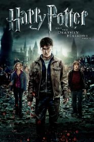 Harry Potter and the Deathly Hallows Part 2 (2011) แฮร์รี่ พอตเตอร์ กับ เครื่องรางยมทูต