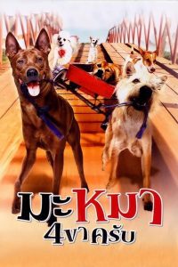 มะหมา 4 ขาครับ (2007) Ma-Mha See Kha Krab – เมื่อเจ้าตูบธรรมดา…ต้องรวมพลังปกป้องบ้านและหัวใจของคนที่รักมันที่สุด!