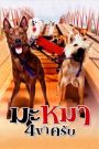 มะหมา 4 ขาครับ (2007) Ma-Mha See Kha Krab – เมื่อเจ้าตูบธรรมดา…ต้องรวมพลังปกป้องบ้านและหัวใจของคนที่รักมันที่สุด!