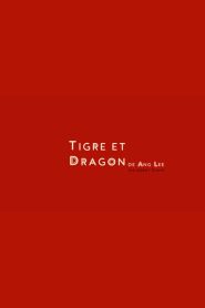 Crouching Tiger, Hidden Dragon: Sword of Destiny (2016) พยัคฆ์ระห่ำ มังกรผยองโลก 2: ชะตาเขียว – หนึ่งกระบี่จะเปลี่ยนโชคชะตา หนึ่งใจจะก่อเกิดตำนานใหม่