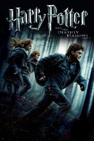 Harry Potter and the Deathly Hallows Part 1 (2010) แฮร์รี่ พอตเตอร์ กับ เครื่องรางยมทูต