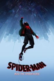 Spider-Man: Into the Spider-Verse (2018) สไปเดอร์-แมน: ผงาดสู่จักรวาล-แมงมุม