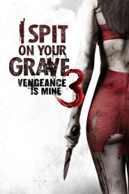 I Spit on Your Grave 3: Vengeance Is Mine (2015) เดนนรกต้องตาย 3