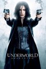 Underworld 4: Awakening (2012) สงครามโค่นพันธุ์อสูร 4: กำเนิดใหม่ราชินีแวมไพร์