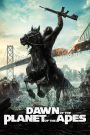 Dawn of the Planet of the Apes (2014) รุ่งอรุณแห่งอาณาจักรพิภพวานร – เมื่อ “ความสงบ” คือสิ่งที่เปราะบางที่สุด… หากยังมี “ความกลัว” อยู่ในใจ