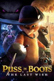 Puss in Boots: The Last Wish (2022) พุซ อิน บู๊ทส์ 2