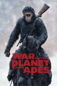 War for the Planet of the Apes (2017) มหาสงครามพิภพวานร – สงครามที่ไม่ใช่แค่เพื่อความอยู่รอด… แต่เพื่อตัวตนของเผ่าพันธุ์ใหม่