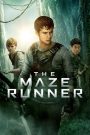 The Maze Runner (2014) เมซ รันเนอร์ วงกตมฤตยู