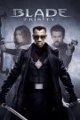 Blade: Trinity (2004) เบลด 3 อำมหิตพันธุ์อมตะ