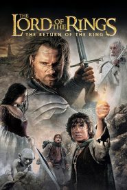 The Lord of the Rings 3 : The Return of the King (2003) เดอะ ลอร์ด ออฟ เดอะ ริงส์ มหาสงครามชิงพิภพ ภาค 3