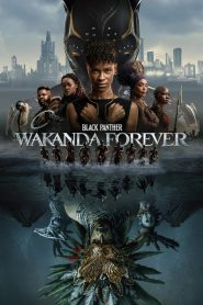 Black Panther: Wakanda Forever (2022) แบล็ค แพนเธอร์: วาคานด้าจงเจริญ