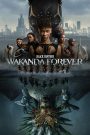 Black Panther: Wakanda Forever (2022) แบล็ค แพนเธอร์: วาคานด้าจงเจริญ