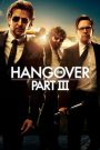 The Hangover 3 (2013) เดอะ แฮงค์โอเวอร์ 3