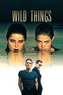 Wild Things (1998) เกมซ่อนกล