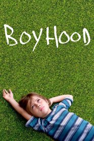 Boyhood (2014) บอยฮูด | เติบโตในทุกลมหายใจของชีวิต
