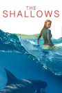The Shallows (2016) นรกน้ำตื้น เมื่อทะเลสวย…กลายเป็นกับดักแห่งความตาย