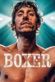 Boxer (2024) นักชกสังเวียนดิบ | บางครั้งการต่อสู้ไม่ใช่เพื่อชัยชนะ…แต่เพื่อยืนหยัดในฐานะมนุษย์