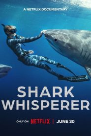 Shark Whisperer (2025) คนรักษ์ฉลาม | เสียงสะท้อนใต้น้ำ เปลี่ยนเคยหิวเป็นหวงใยโลก